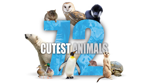 Watch The Hidden Lives of Pets | Netflix Official Site Watch The Hidden Lives of Pets | Netflix Official Site